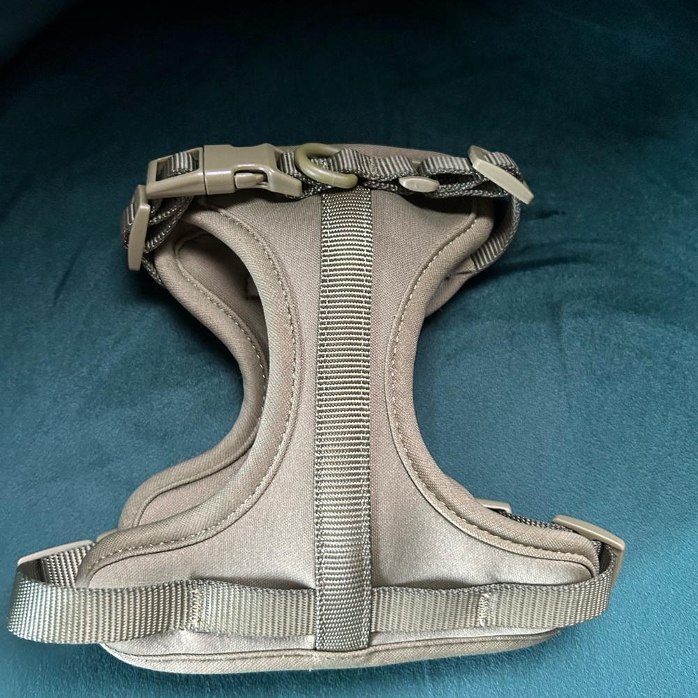 Green wild one dog harness X small